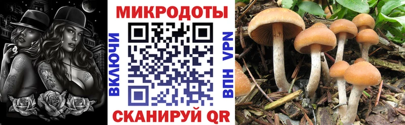 сайты даркнета клад  hydra онион  Учалы  цены наркотик  Псилоцибиновые грибы мухоморы 